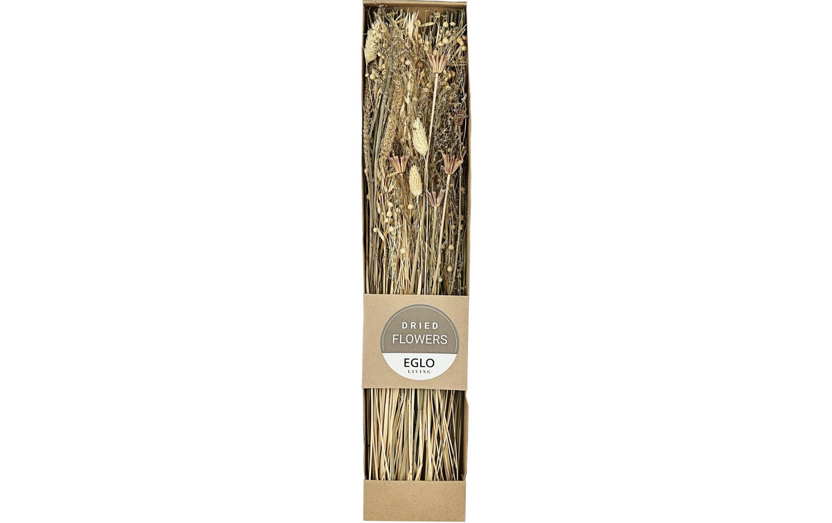 Eglo Trockenblumen – Mehrfarbig – 1er-Pack