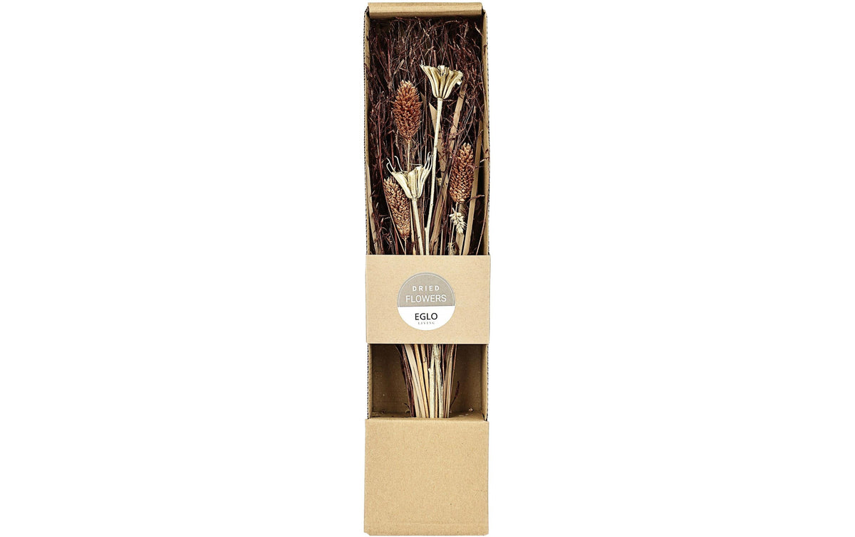 Eglo Trockenblumen IGNACE – mehrfarbig – 1er-Pack