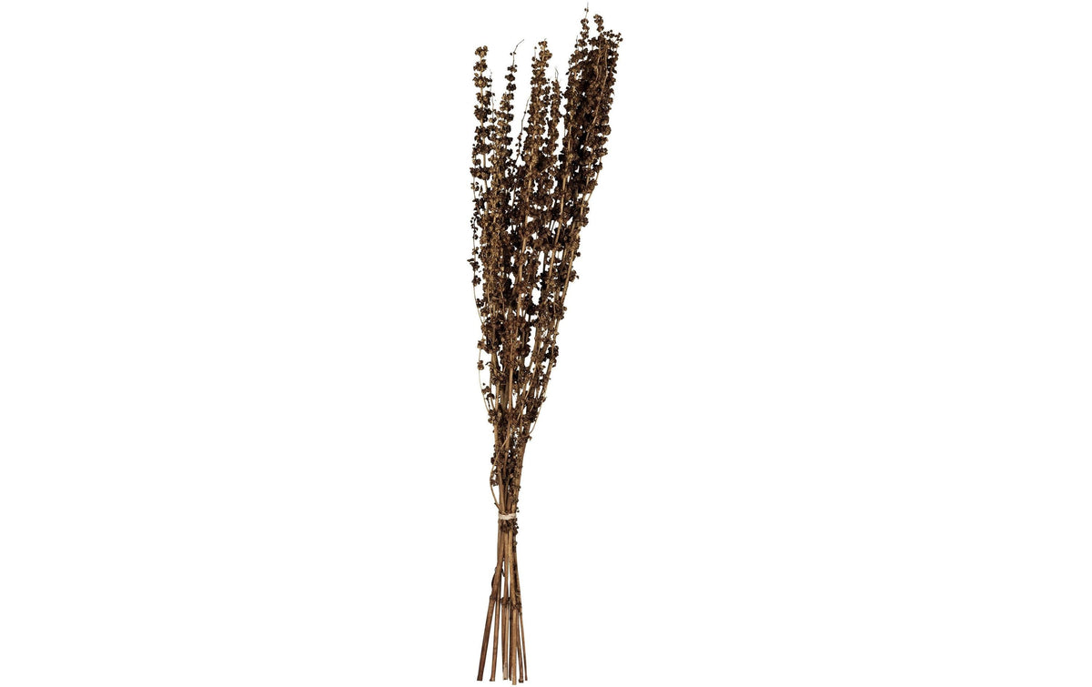 Eglo Trockenblumen – Braun – 1-teilig