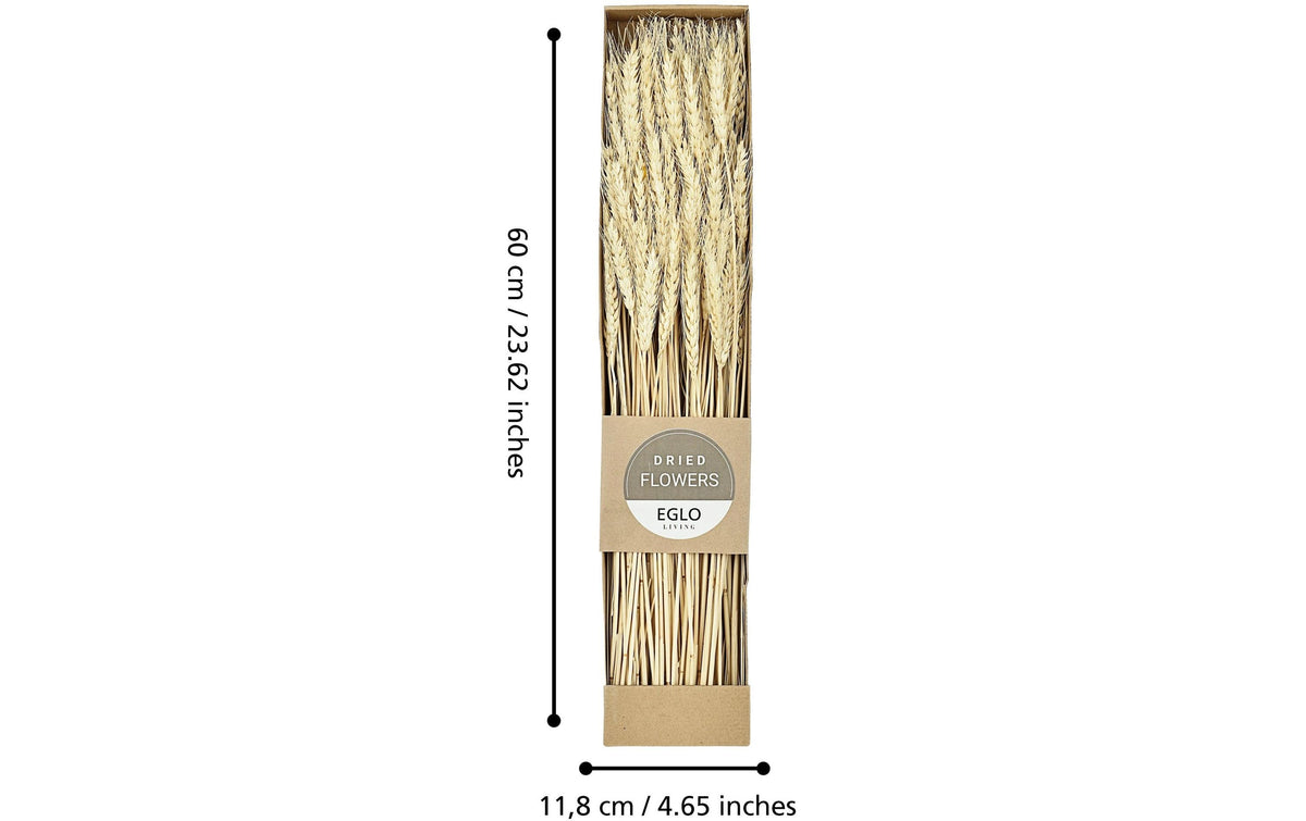 Eglo Trockenblumen – Mehrfarbig – 1er-Pack