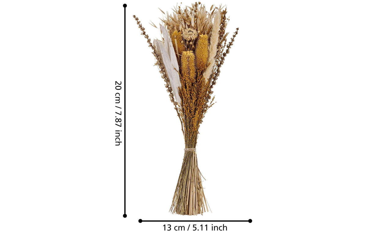 Eglo Trockenblumen CARAQUET – braun – 1er-Pack