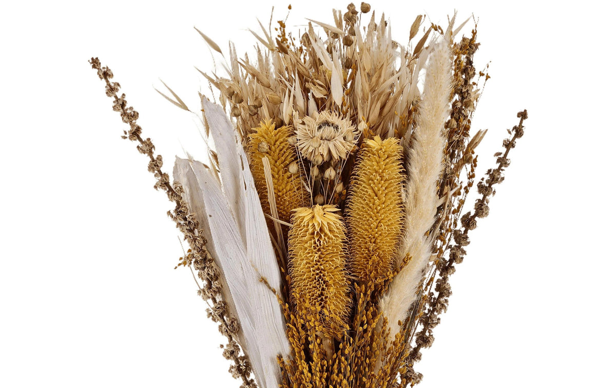 Eglo Trockenblumen CARAQUET – braun – 1er-Pack