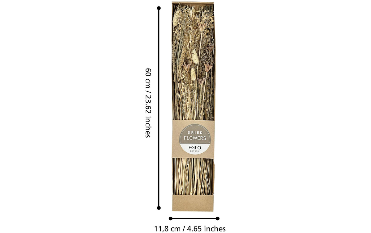 Eglo Trockenblumen – Mehrfarbig – 1er-Pack