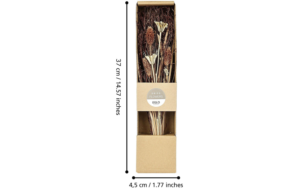 Eglo Trockenblumen IGNACE – mehrfarbig – 1er-Pack