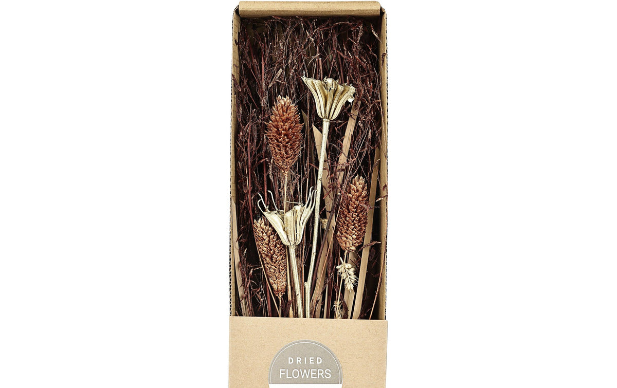 Eglo Trockenblumen IGNACE – mehrfarbig – 1er-Pack