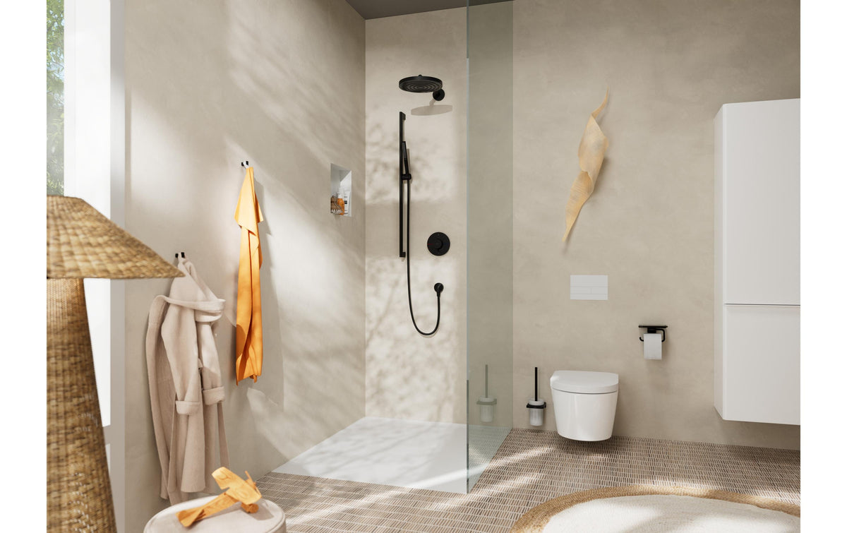 Hansgrohe AddStoris – WC-Bürstenset – Metall matt, schwarz, wandmontiert, Kopf austauschbar