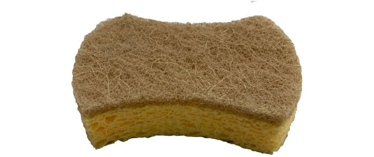 Pandoo Spülschwamm – Zellulose, 10 × 7 × 2 cm, mehrfarbig, 2 Stk.