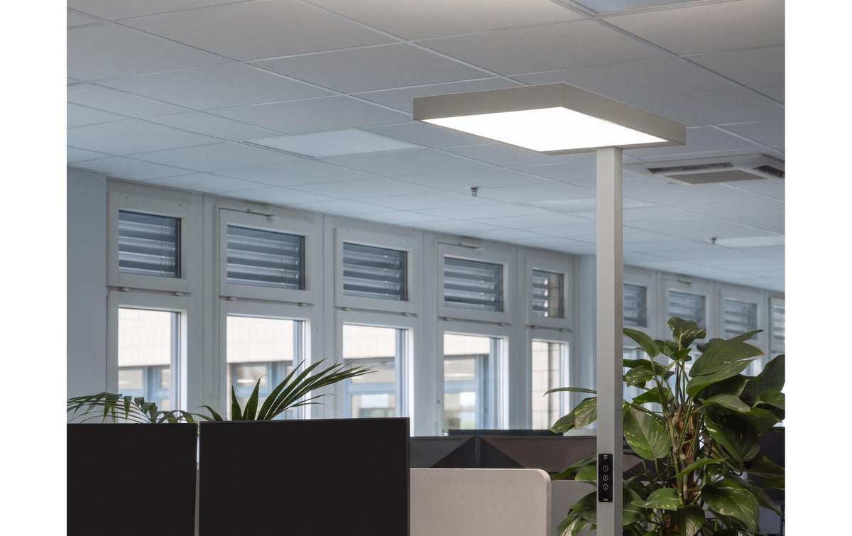 Office focus Stehleuchte LYS 9000 – 9000 lm, 4000 K, dimmbar, 197 cm – Grau