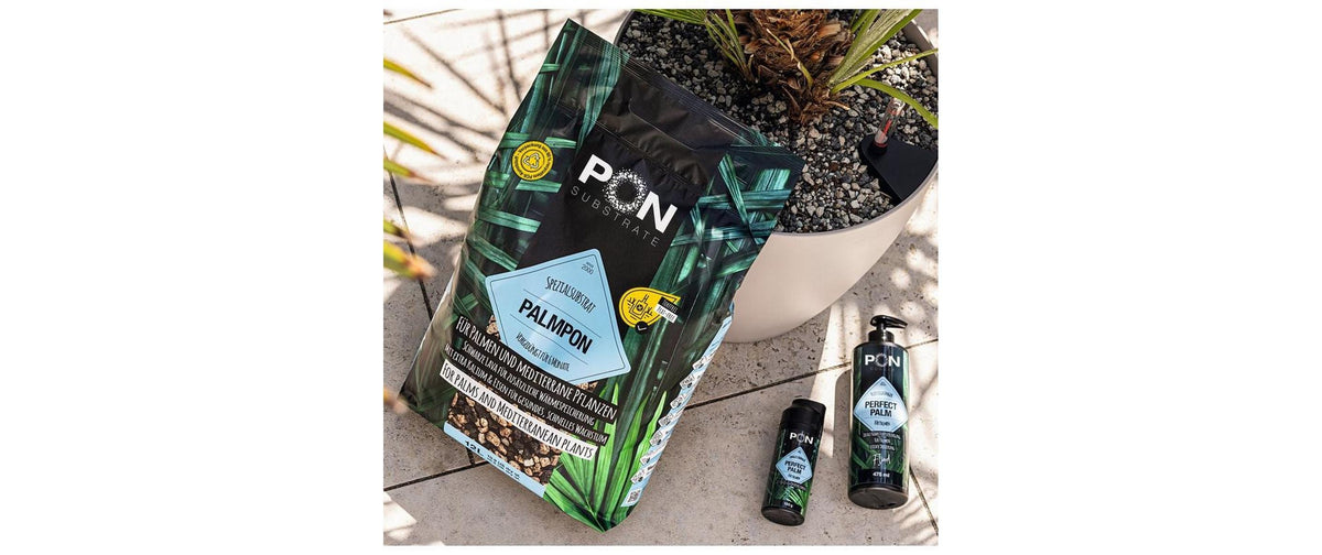 Pon Pflanzendünger Perfect Palm – flüssig, 475 ml, NPK 7+5+6, für mediterrane Pflanzen und Palmen