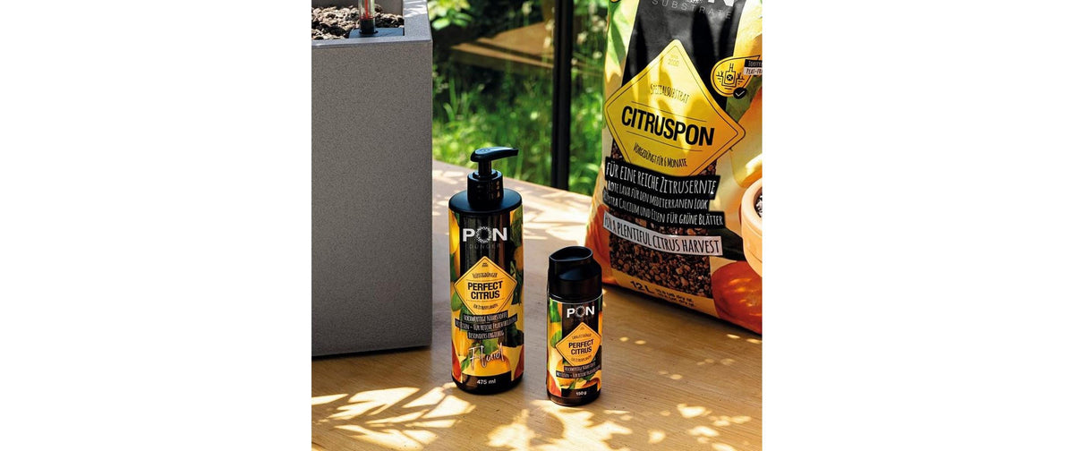 Pon Pflanzendünger Perfect Citrus – 150 g, Granulat, NPK 15+9+15+2 mgO, für Zitruspflanzen