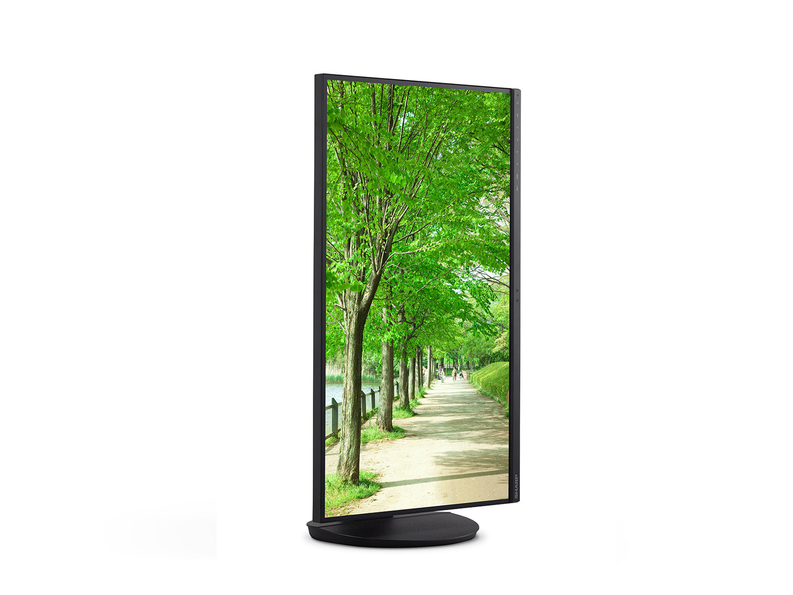 NEC EA272UB – 27", 3840 × 2160 (4K), IPS, USB-C 90 W, LAN