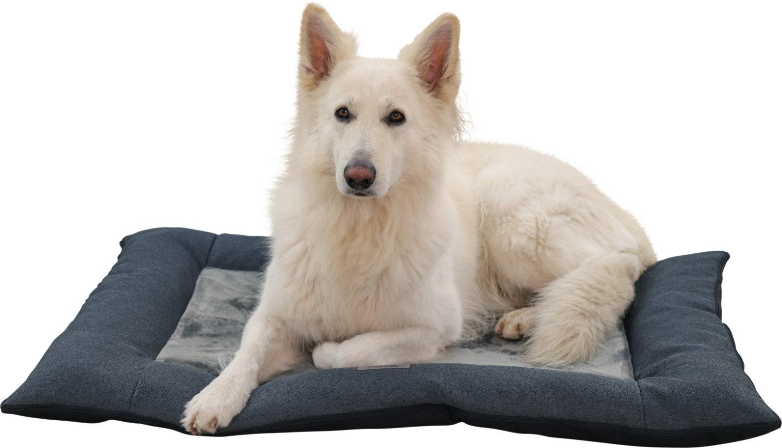 Kerbl Platin Ortho Hundekissen – 80 × 115 × 9 cm, Schaum, abnehmbarer Polyesterbezug, Grau