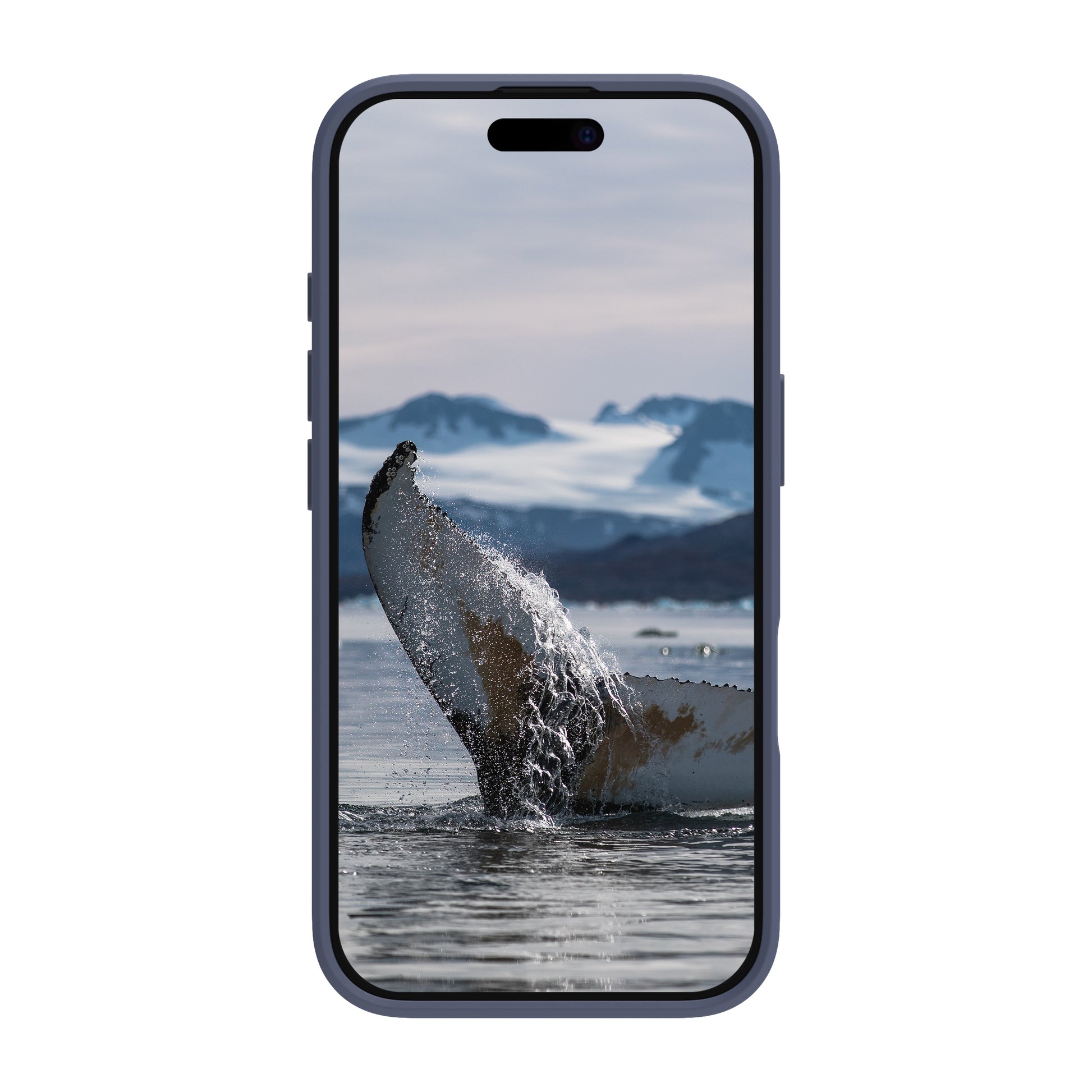 dbramante1928 Greenland Backcover – für Apple iPhone 16, Recycling-Kunststoff, Pacific Blue