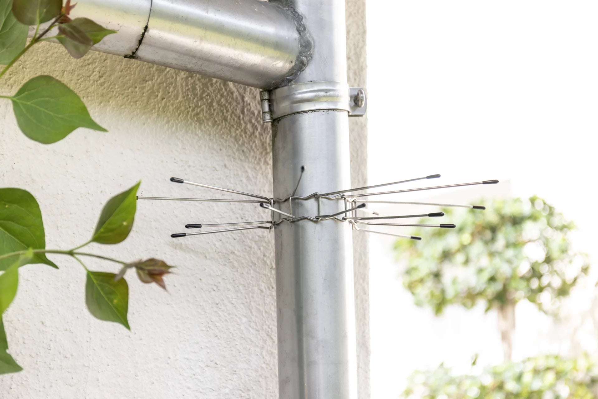 Windhager Marderabwehr – Drahtgitter – Edelstahl – Silber – 2 Stk. – für Marder