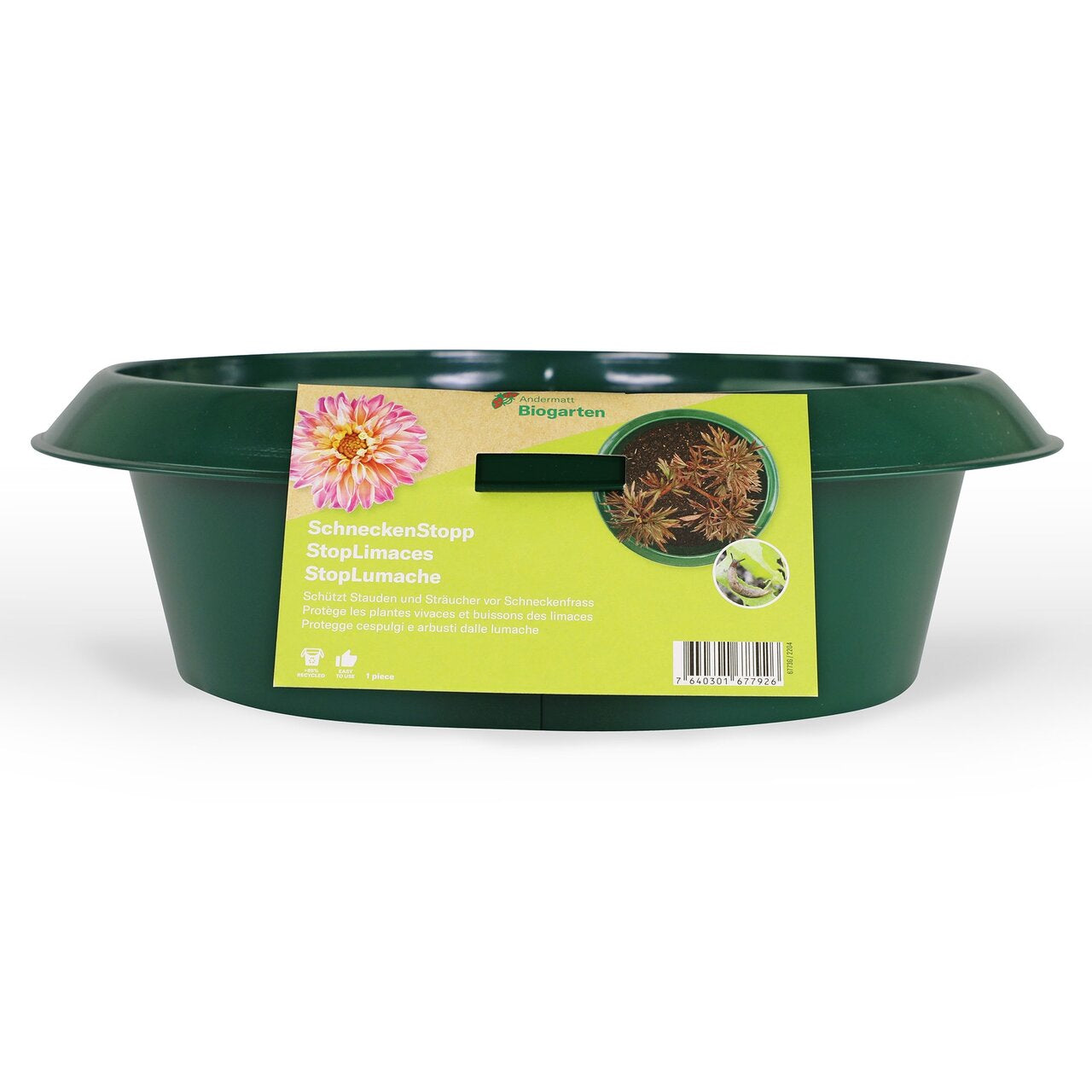 Andermatt Biogarten Schnecken-Schutzring – 28 × 38 cm – dunkelgrün – Stahl – für Schnecken