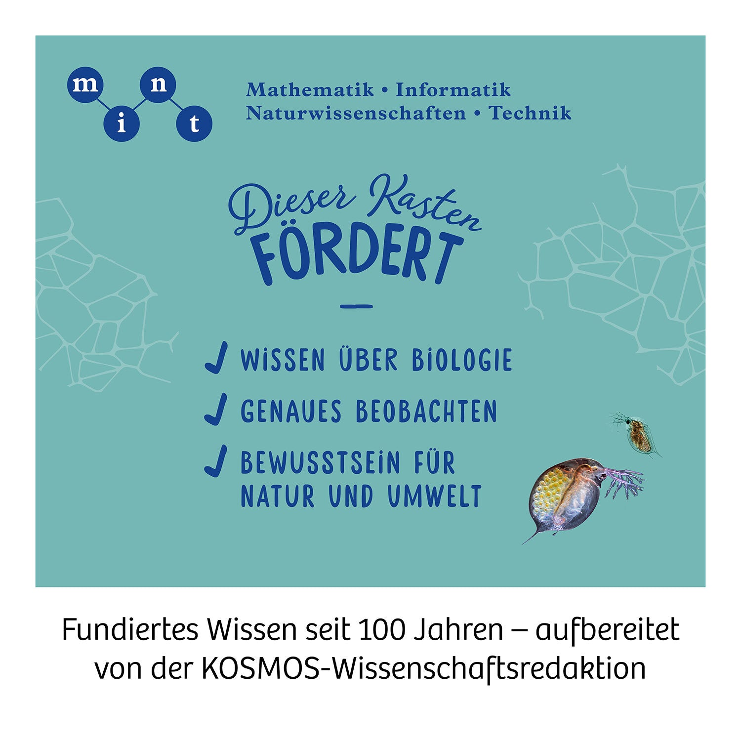 Kosmos Mikroskop-Bausatz, bis zu 400×, LED-Beleuchtung, ab 10 Jahren