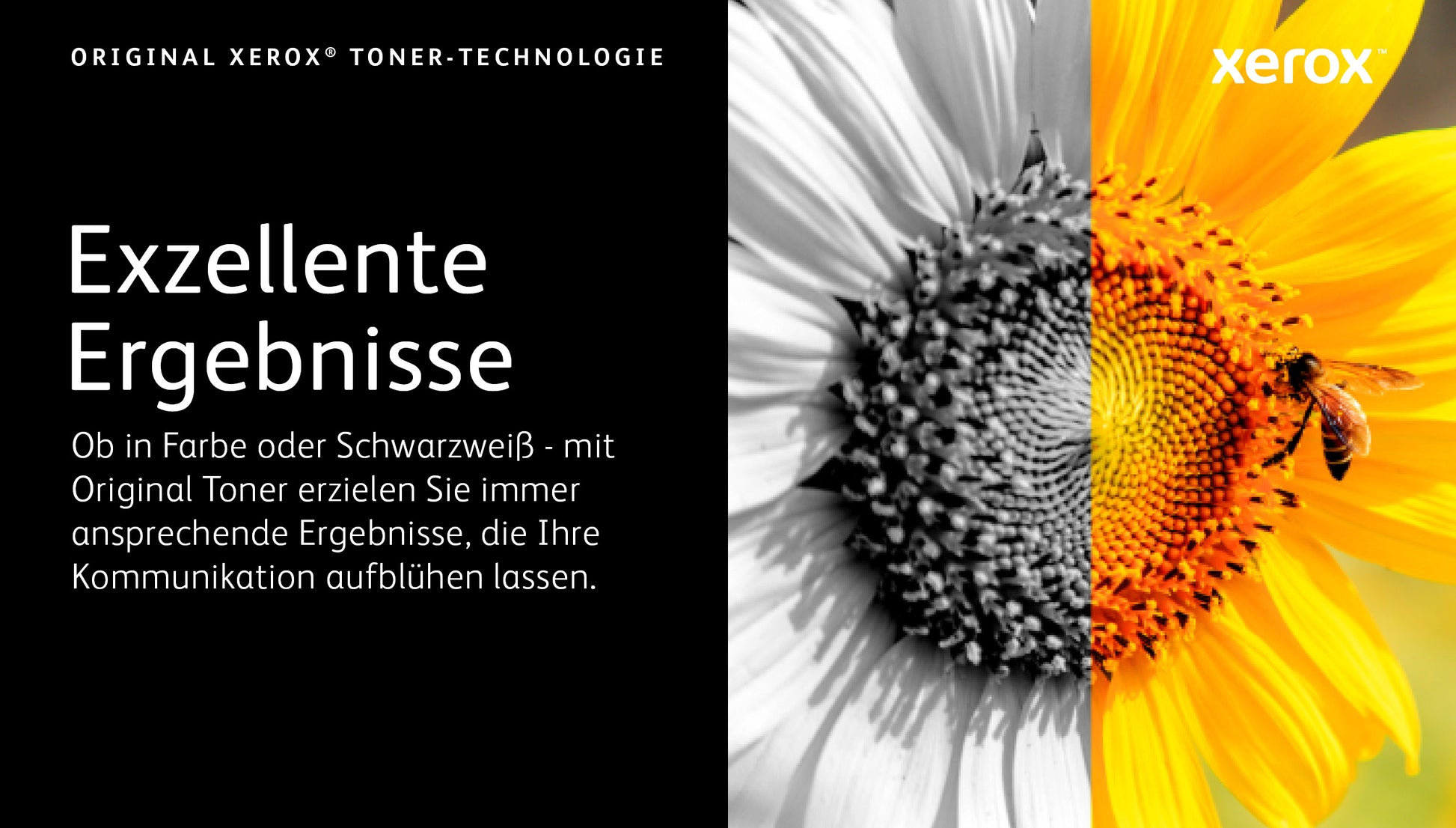 Xerox Toner – Gelb, 1500 Seiten