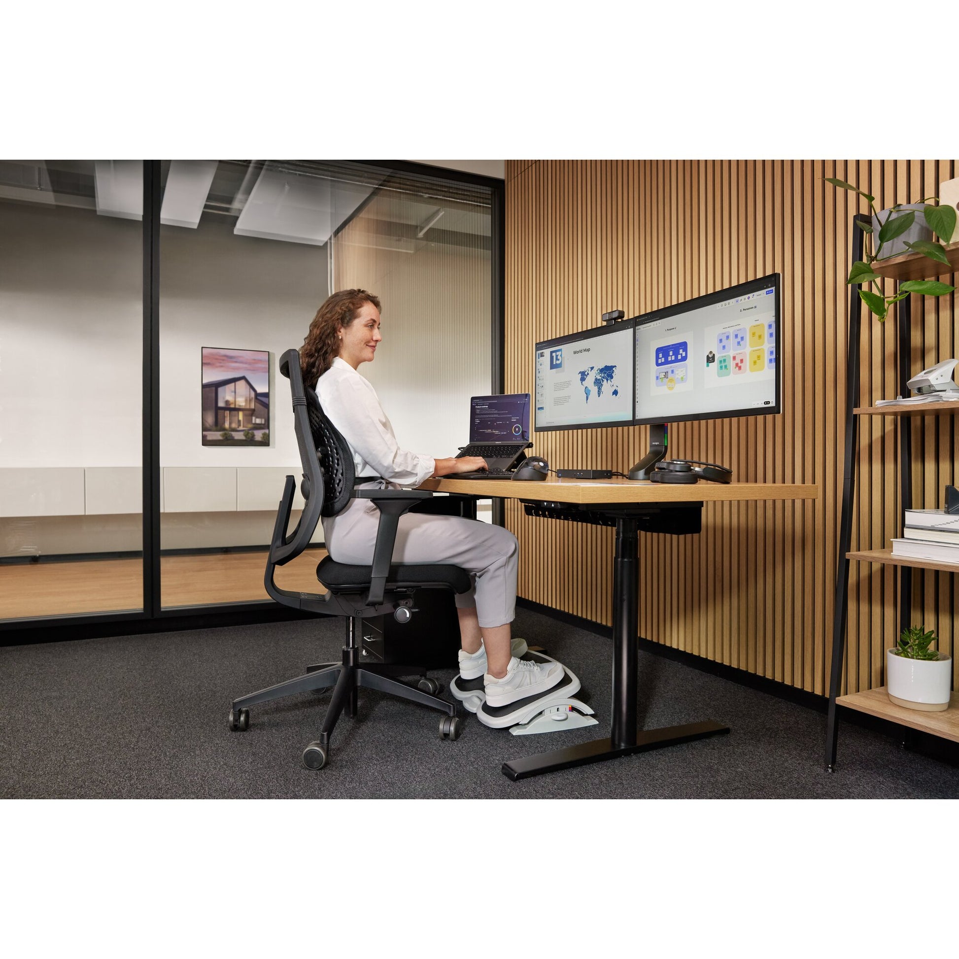 Kensington Monitorarm, Dual