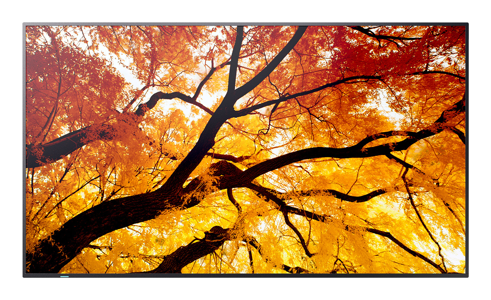 Sharp MultiSync M862 – 86" Signage-Display – 4K UHD – LCD (IPS) – 60 Hz – 550 cd/m² – 24/7 – HDR
