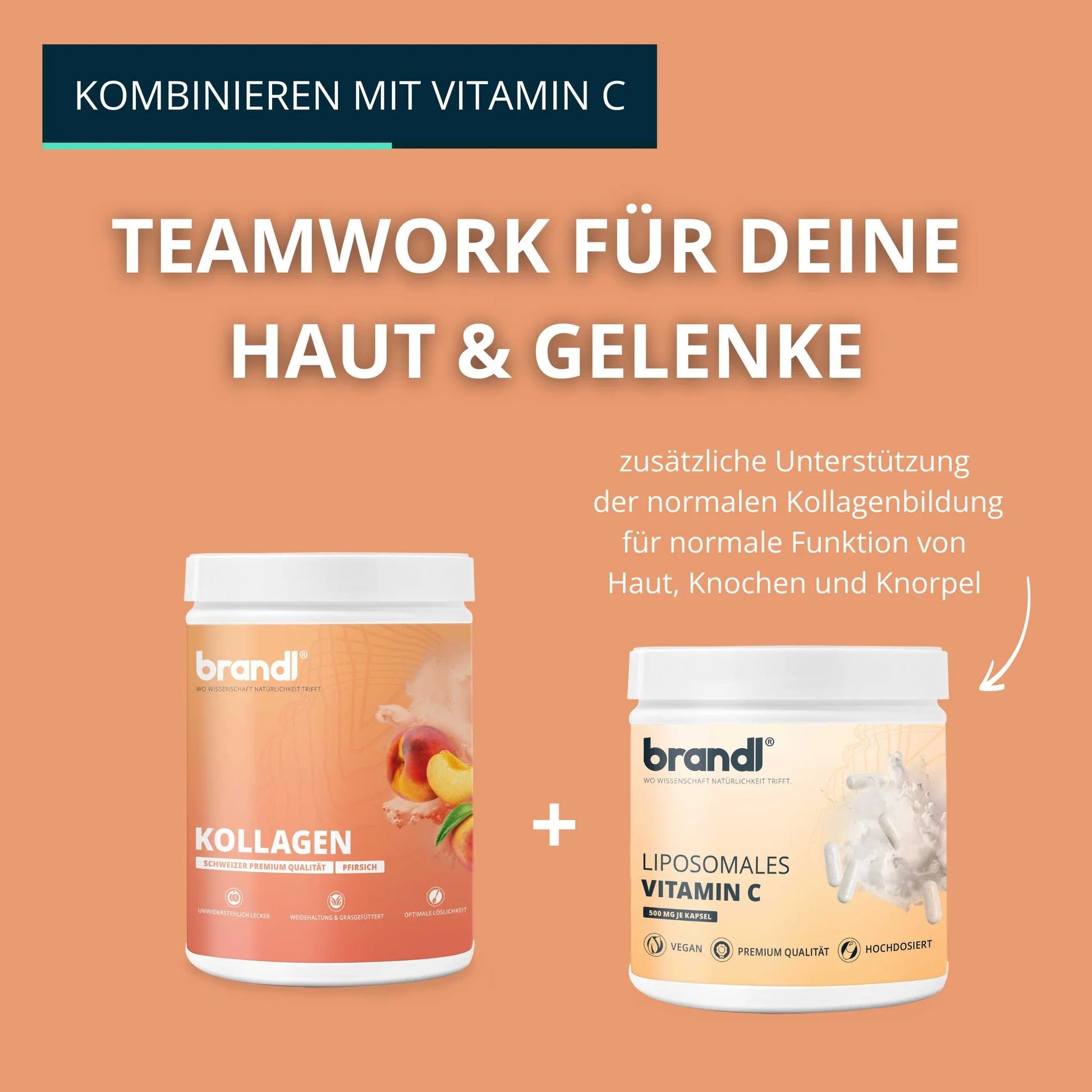 Brandl Nutrition Kollagen Pulver Pfirsich – glutenfrei, laktosefrei