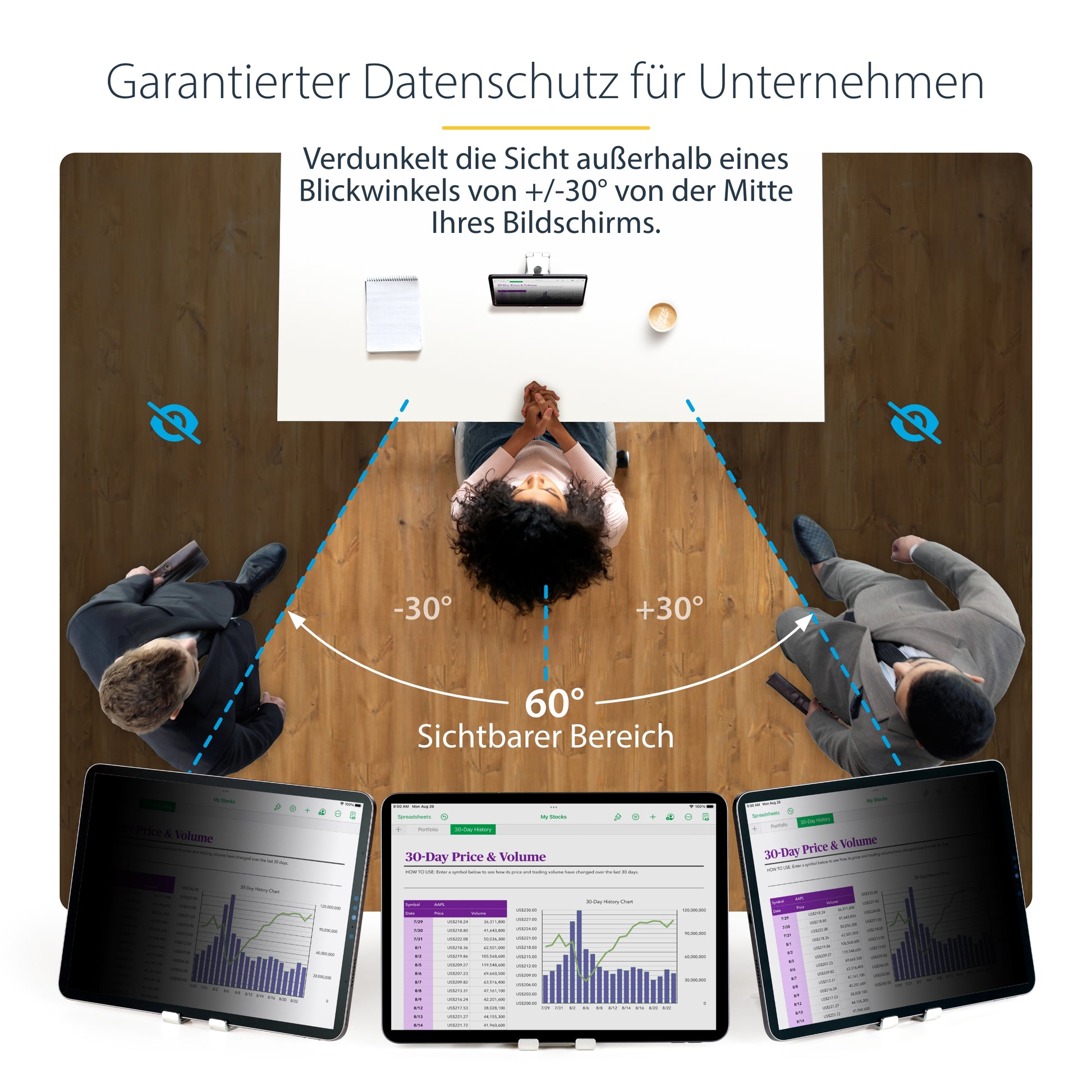 StarTech.com 129IP-PRIVACY-SCREEN Privacy-Schutzfolie – für iPad Pro 12,9"