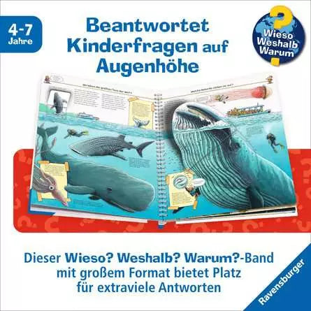 Ravensburger Buch – Wieso? Weshalb? Warum? Sonderband: Gross, grösser, am grössten, Spiralbindung, 16 Seiten, D