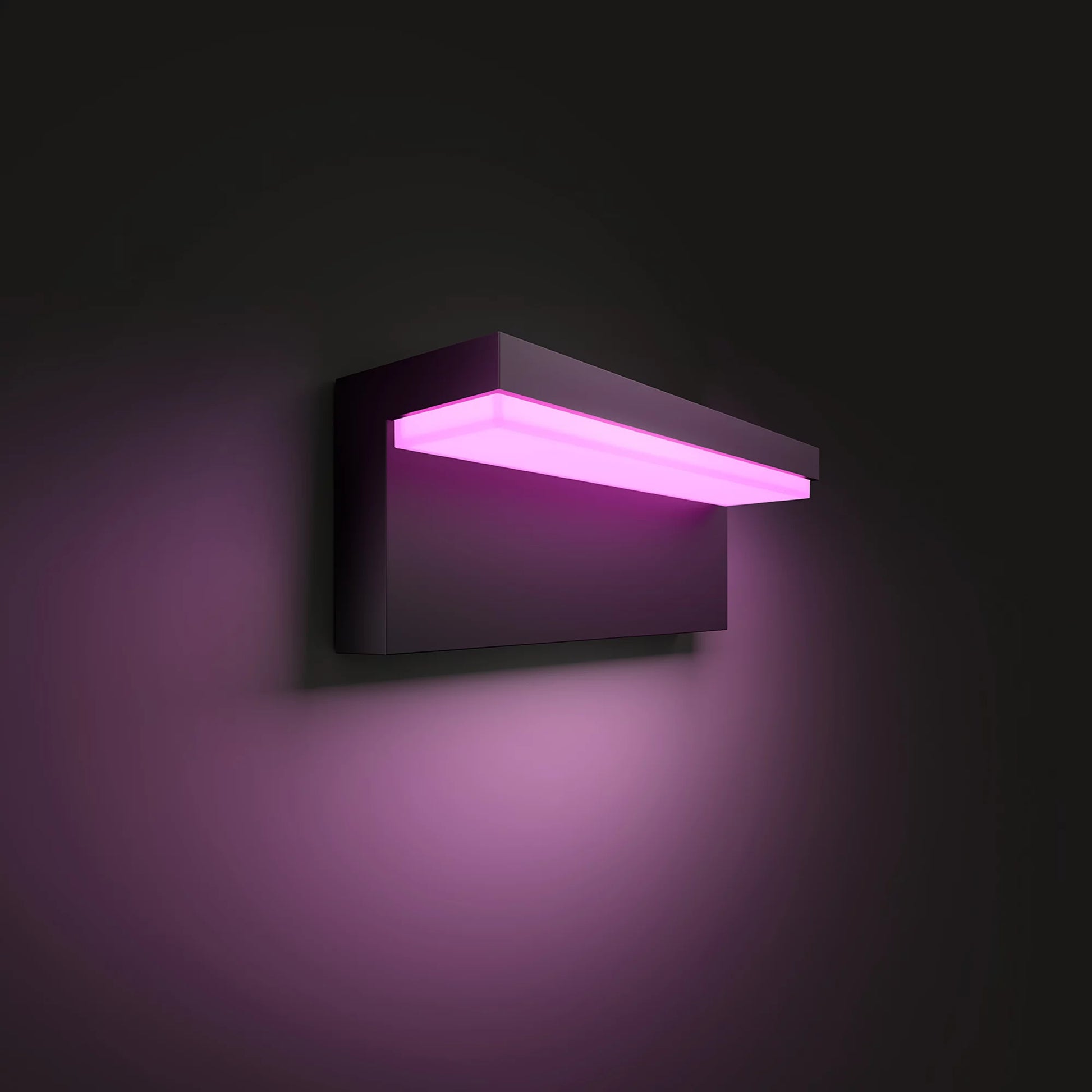 Philips by Signify Philips Hue Aussenwandleuchte – 13,5 W – Netzbetrieb – für Alexa, Google, HomeKit (u. a.) – dimmbar – Schwarz