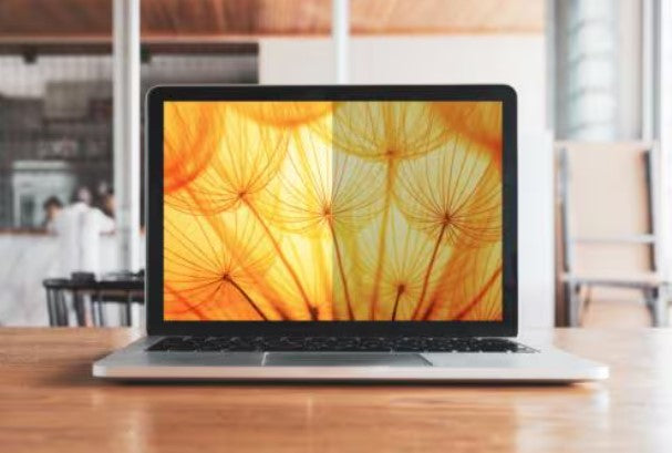 3M Blickschutzfilter für Laptop 14,5", 16:10 – 313 × 196 mm