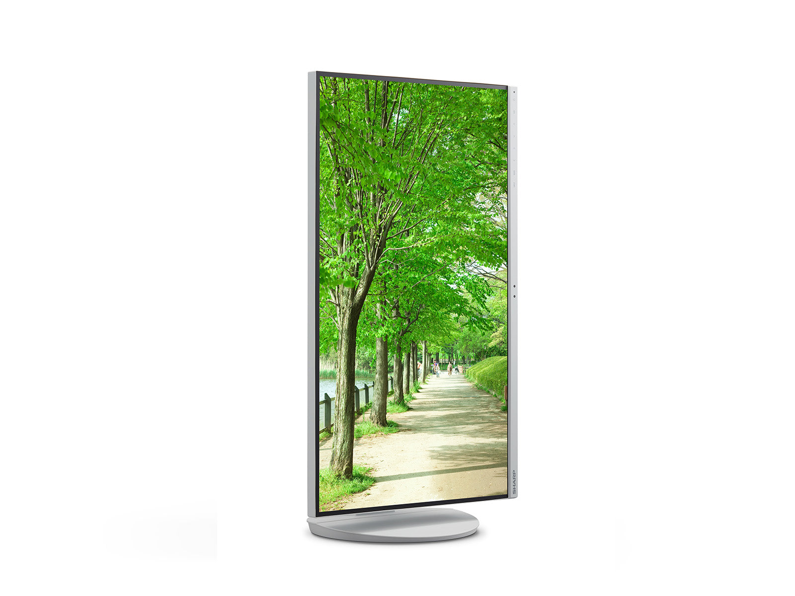 Sharp MultiSync EA272Q – 27", 2560 × 1440 (WQHD), IPS, USB-C 90 W, LAN