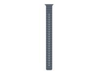 Apple Titan Natur, Ocean Band, Anchor Blue, für Apple Watch