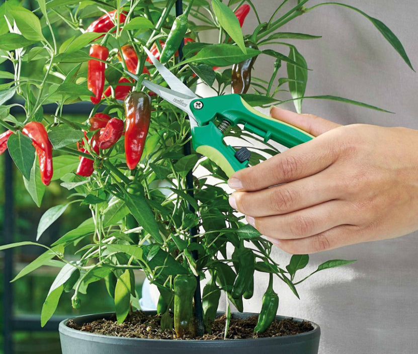 Romberg Gartenschere Schnittbreite 55 mm, weicher Haltegriff, grün/gelb
