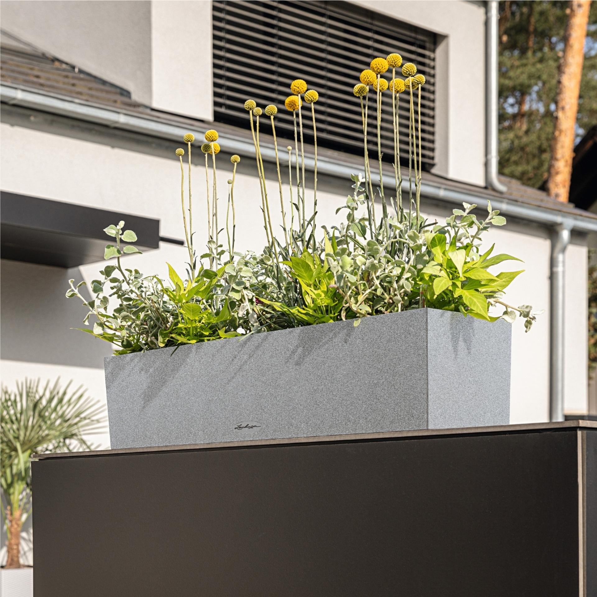 LECHUZA BALCONERA Stone 40 Pflanzgefäss – 6 l, 40 × 19 × 19 cm – Kunststoff, beige
