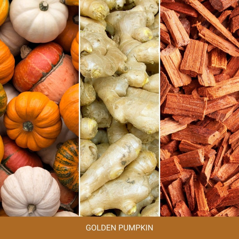 Yankee Candle Duftkerze Golden Pumpkin, Ø 9,9 × 15 cm