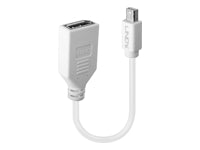 Lindy Mini DisplayPort auf DisplayPort Adapter – 20 cm, geschirmt