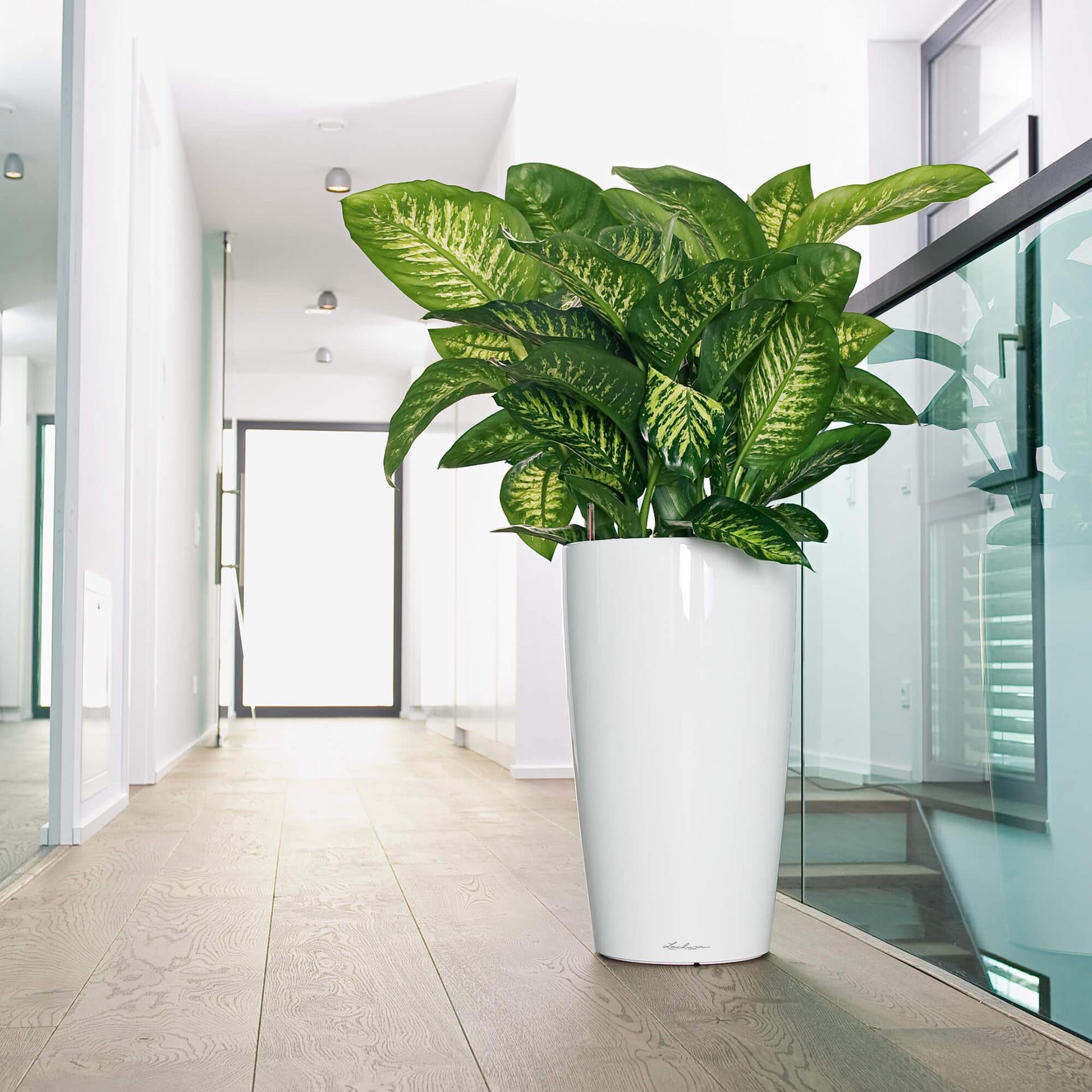 LECHUZA RONDO Premium Topfpflanzer – Ø 40 × 75 cm – Kunststoff, weiss, automatische Bewässerung