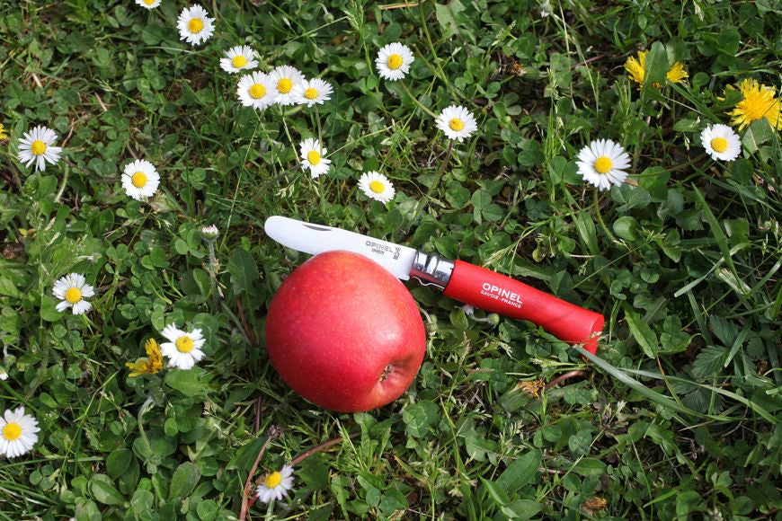 Opinel N°07 Mein Erstes – Klappmesser 80 mm, Holzgriff, Rot