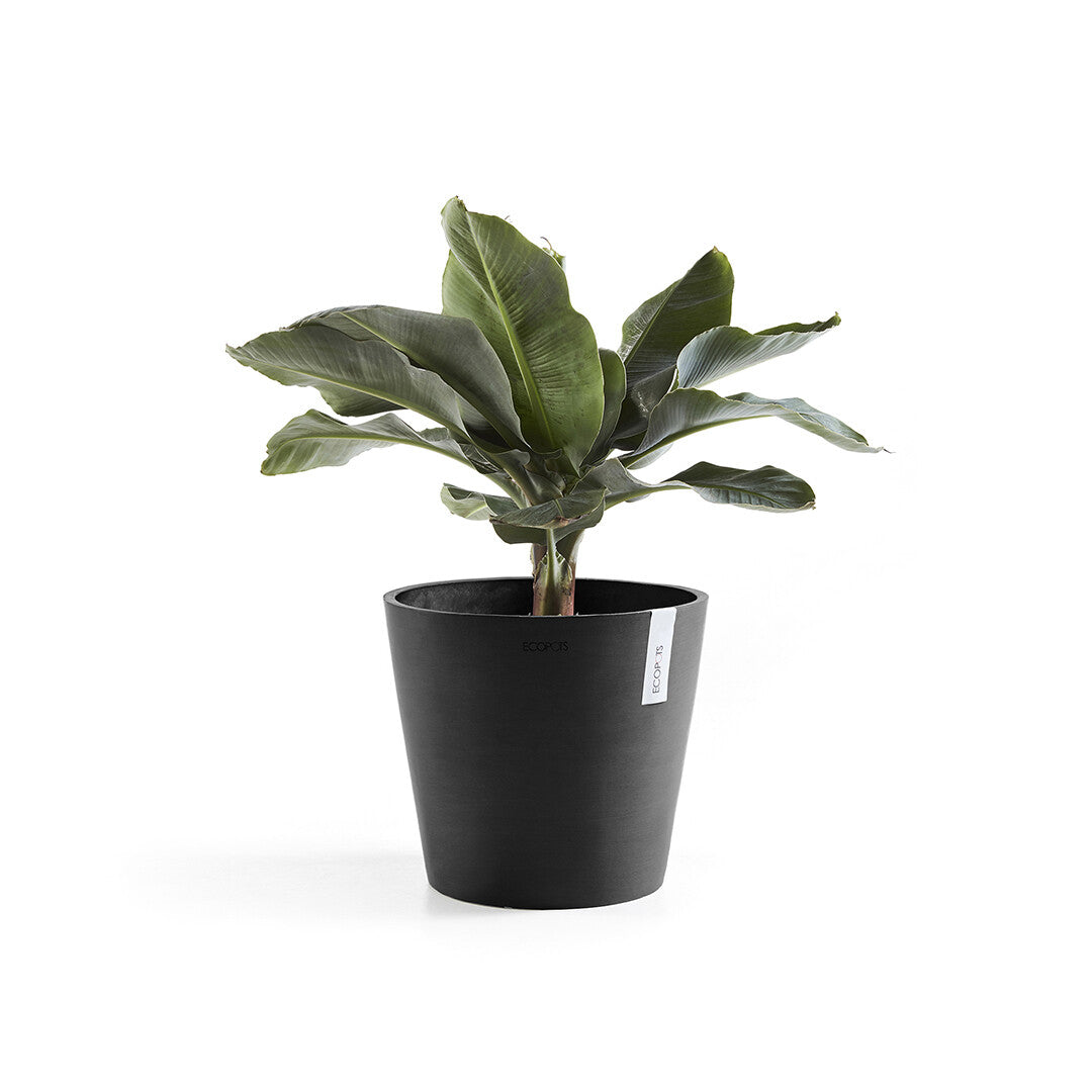 Ecopots Amsterdam Pflanzkübel – Ø 40 × 35 cm – Recycling-Kunststoff, Dunkelgrau