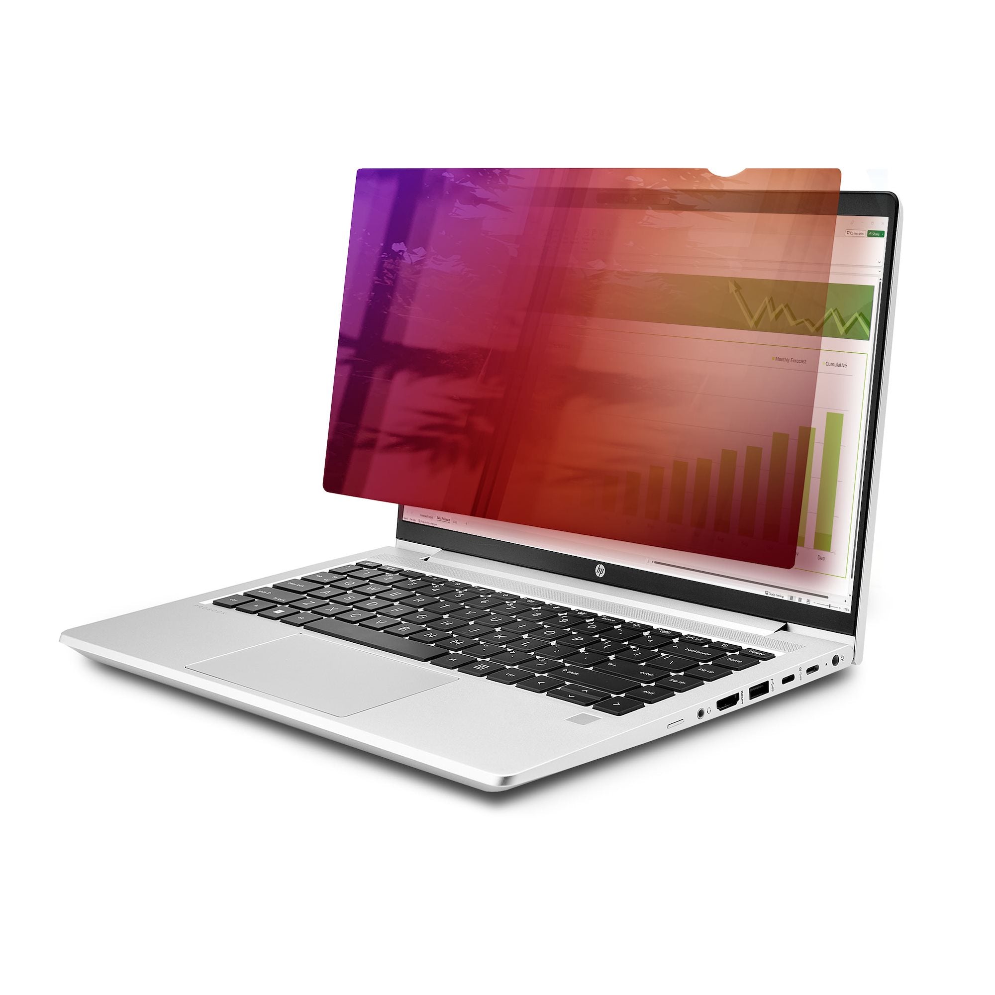 StarTech.com Displayschutz für 14" Laptop – Gold