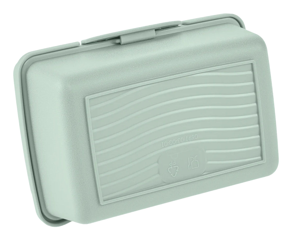 keeeper Luca Aufbewahrungsbox 0,35 l – Polypropylen – Transparent/Grün – 110 × 60 × 75 mm