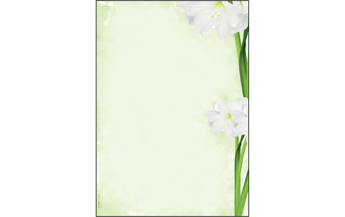 Sigel DP463 Kopierpapier – A4, Grün, Weiss – 25 Blätter