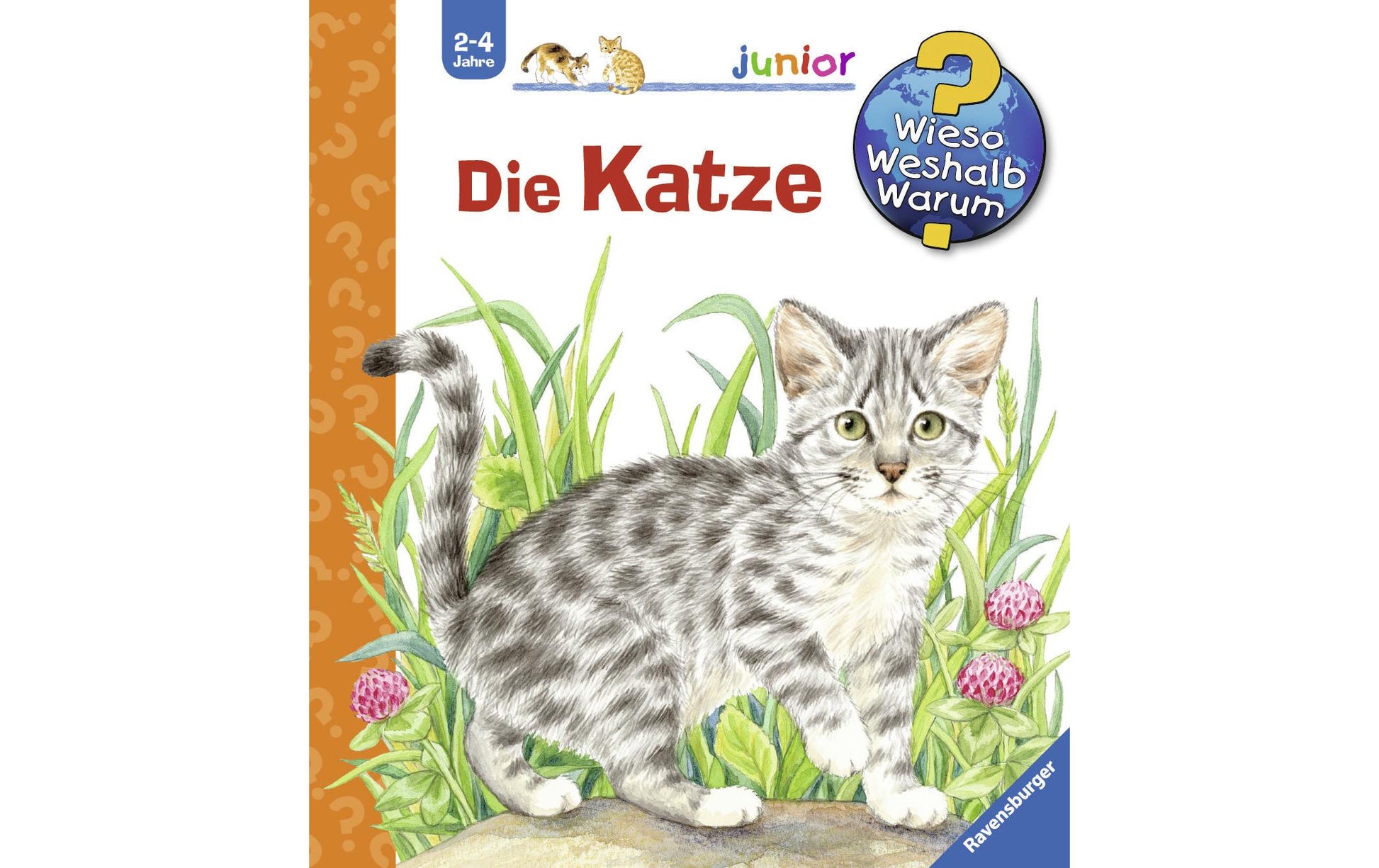 Ravensburger Buch – Die Katze, Hardcover, 16 Seiten, Deutsch, ab 2 Jahren