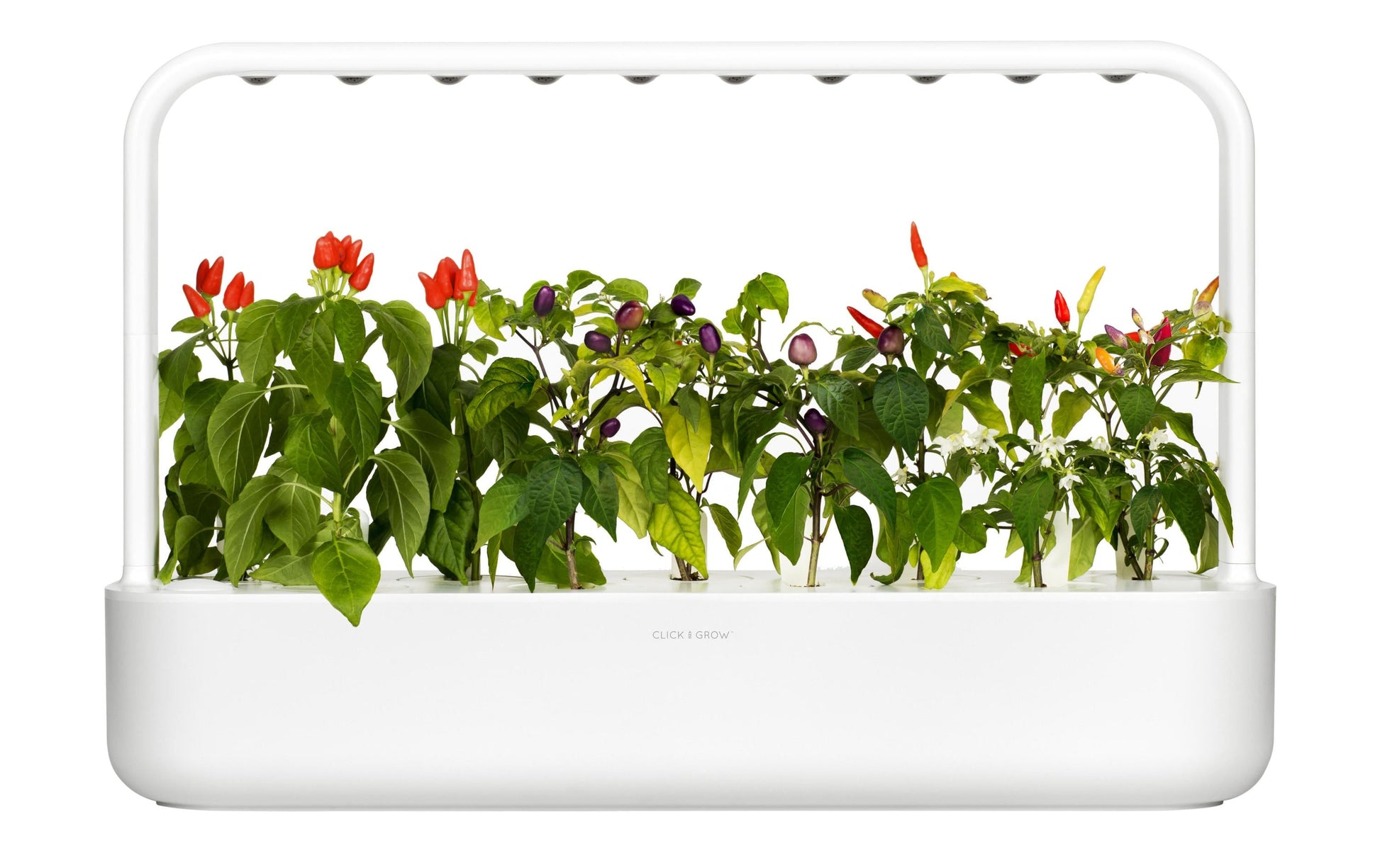 Click & Grow Smart Garden 9 – Höhe 39,6 cm, integrierte LED-Beleuchtung – Weiss