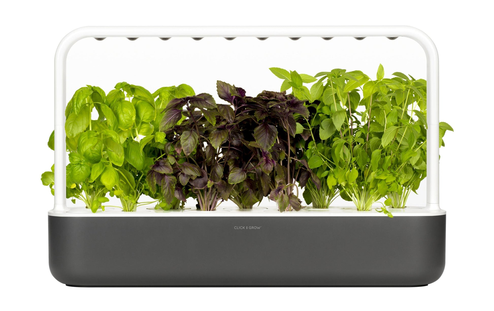 Click & Grow Smart Garden 9 – Zubehör – 9 Ablagen, Integrierte Beleuchtung, 4 l – Dunkelgrau