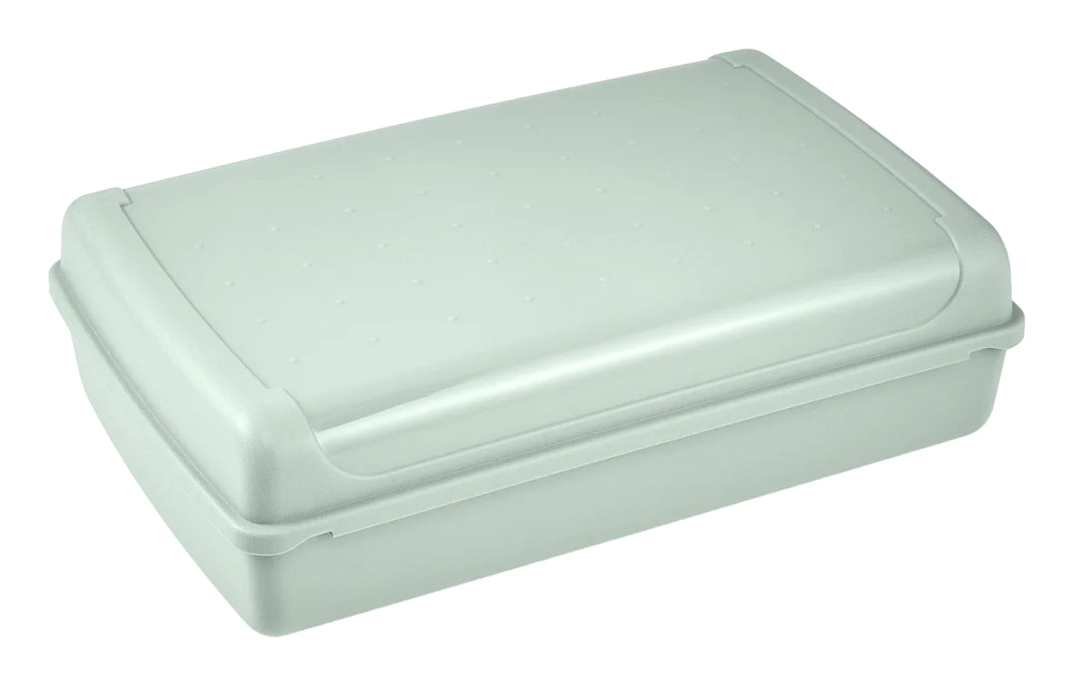 keeeper Luca Aufbewahrungsbox 3,7 l – Polypropylen – Grün – 300 × 85 × 200 mm