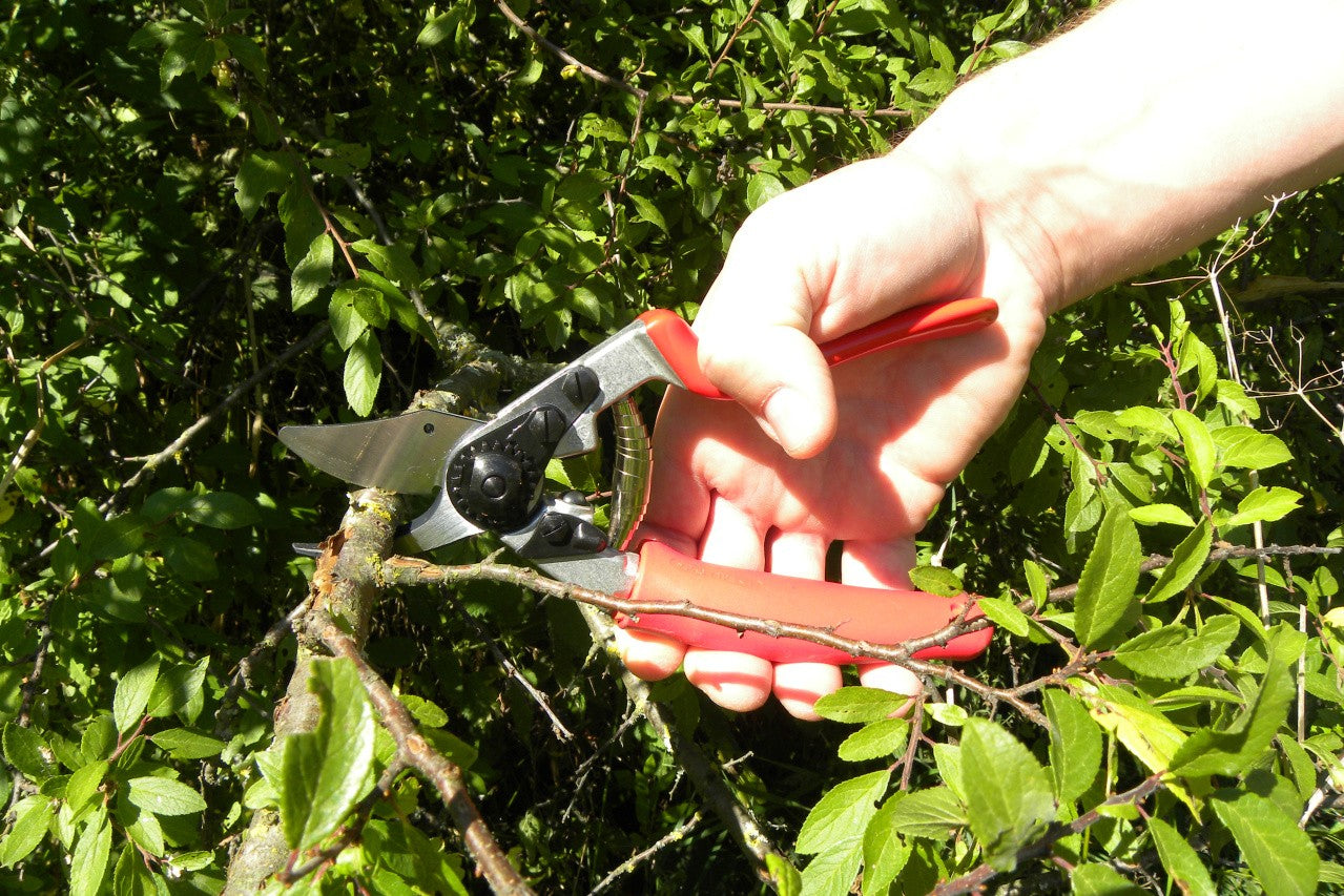 Felco 12 – Gartenschere 20 mm, Amboss, Aluminiumgriff, Rot