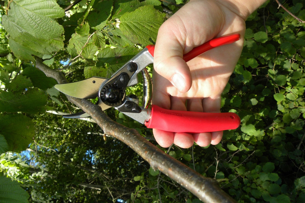 Felco 12 – Gartenschere 20 mm, Amboss, Aluminiumgriff, Rot