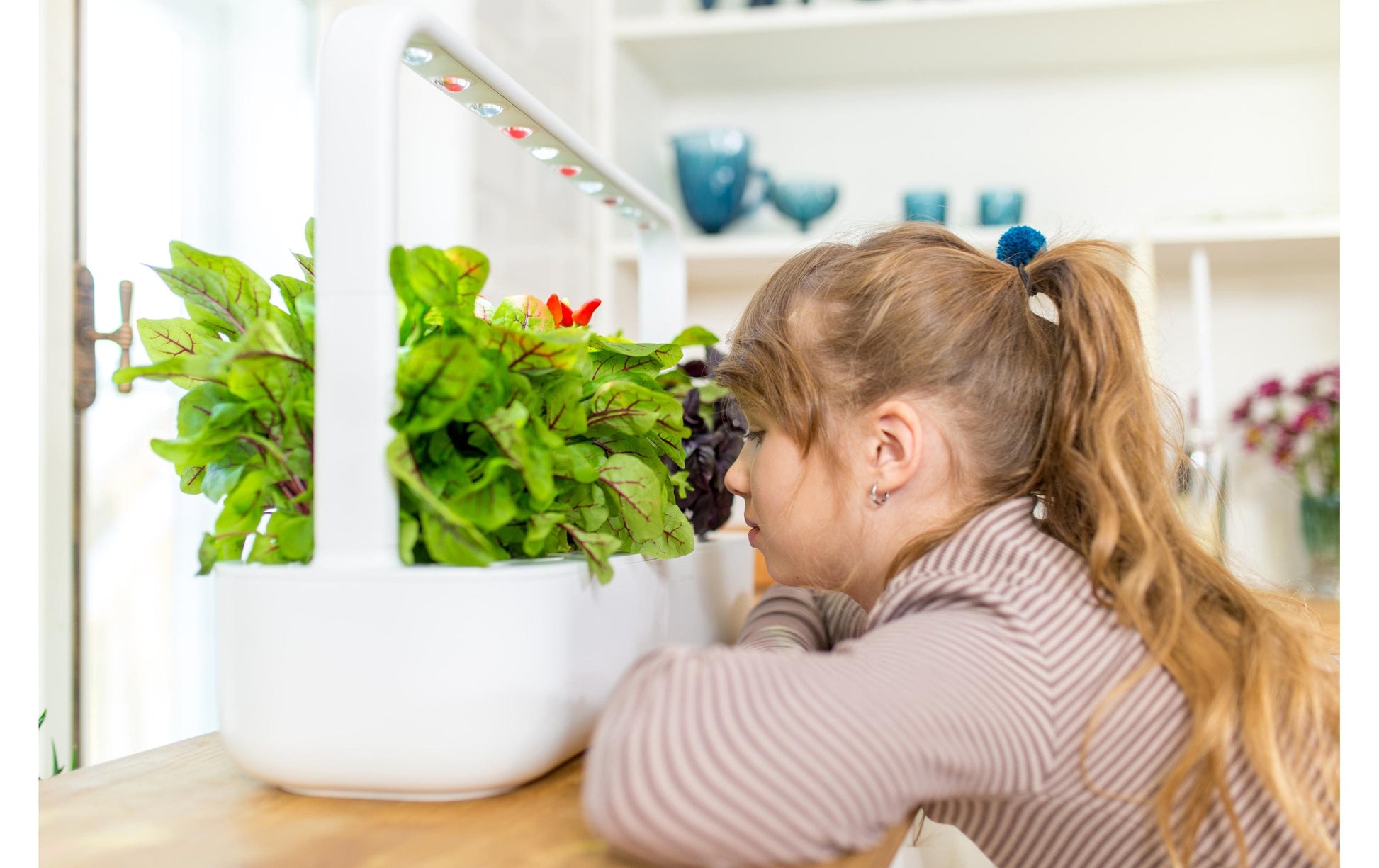 Click & Grow Smart Garden 9 – Höhe 39,6 cm, integrierte LED-Beleuchtung – Weiss