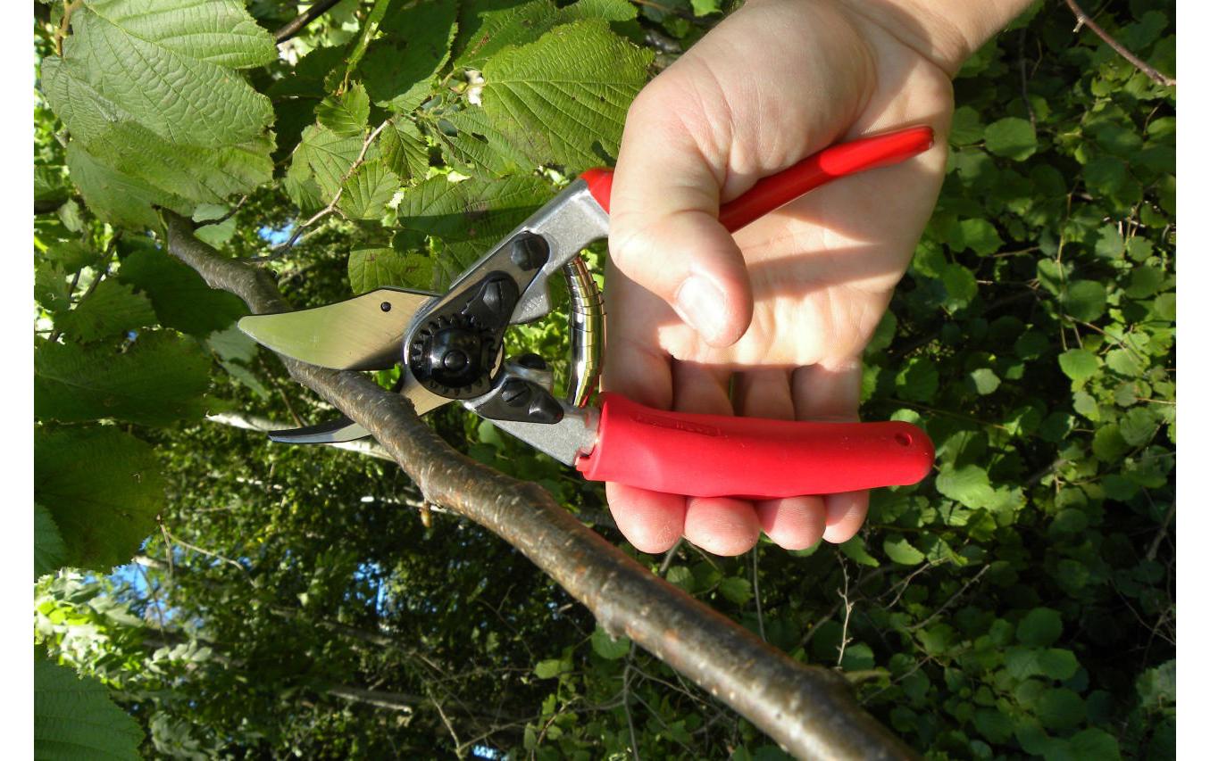 Felco 12 – Gartenschere 20 mm, Amboss, Aluminiumgriff, Rot