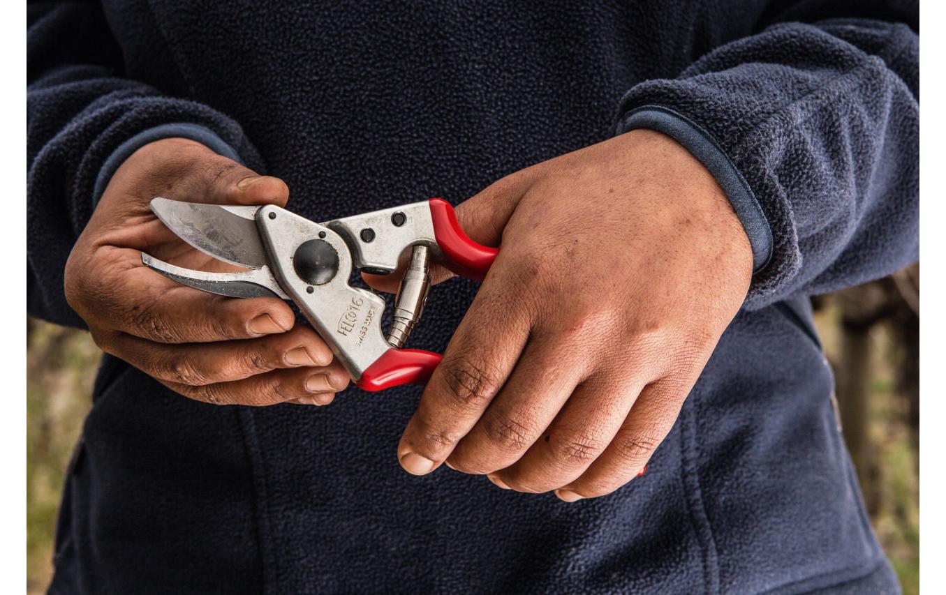Felco 16 – Gartenschere 20 mm, Amboss, Aluminiumgriff, Rot, 1 Stk.