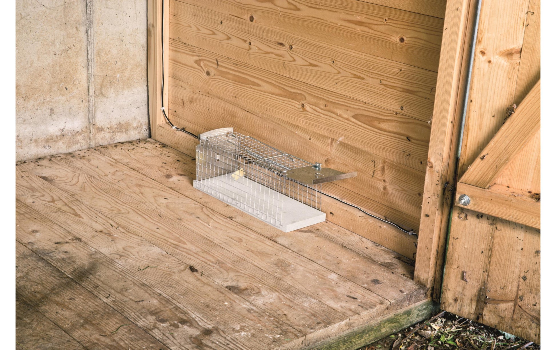 Windhager Rattenfalle – 9,5 × 9,2 × 26 cm – braun – für Ratten
